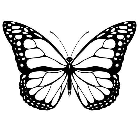 butterfly outline